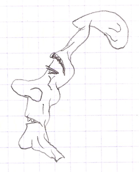 92.jpg