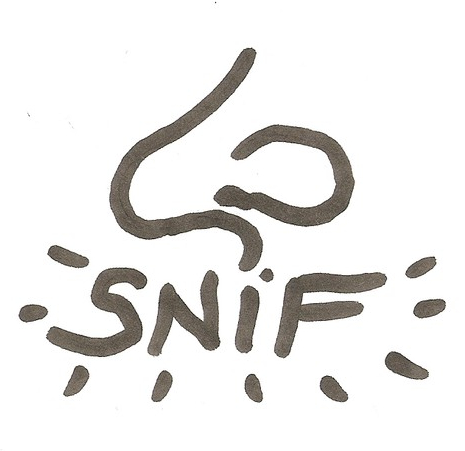 sniff